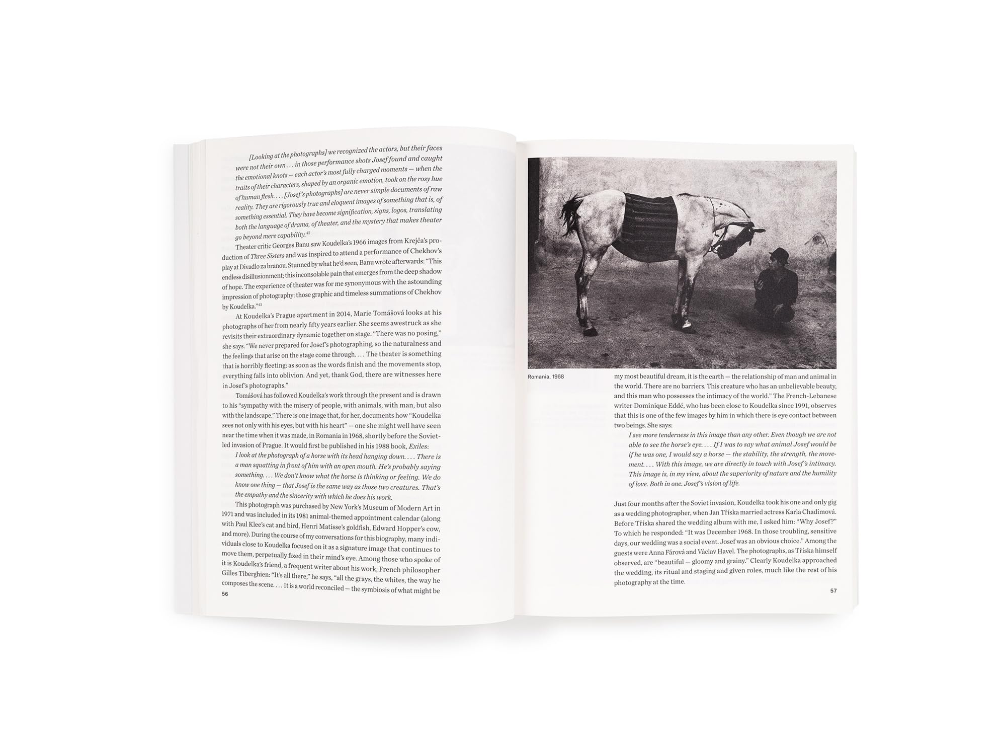 Josef Koudelka Next: A Visual Biography by Melissa Harris