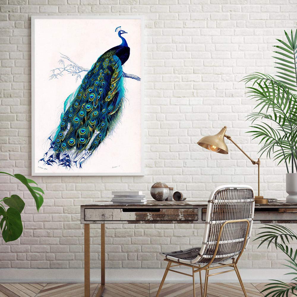 AdoDecor Canvas Wall Art Peacocks Illustration Poster Canvas Prints Vintage Bird Peacocks Wall Art for Living Room(Framed)