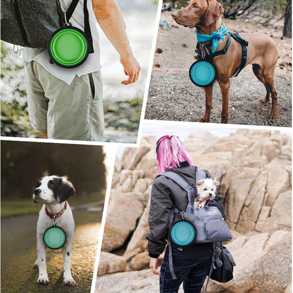 Ciotole pieghevoli per cani, 4 pezzi, 350 ml, in silicone espandibile, diametro 14,5 cm, ciotola portatile da viaggio con moschettone, per cuccioli, gatti, escursioni, campeggio