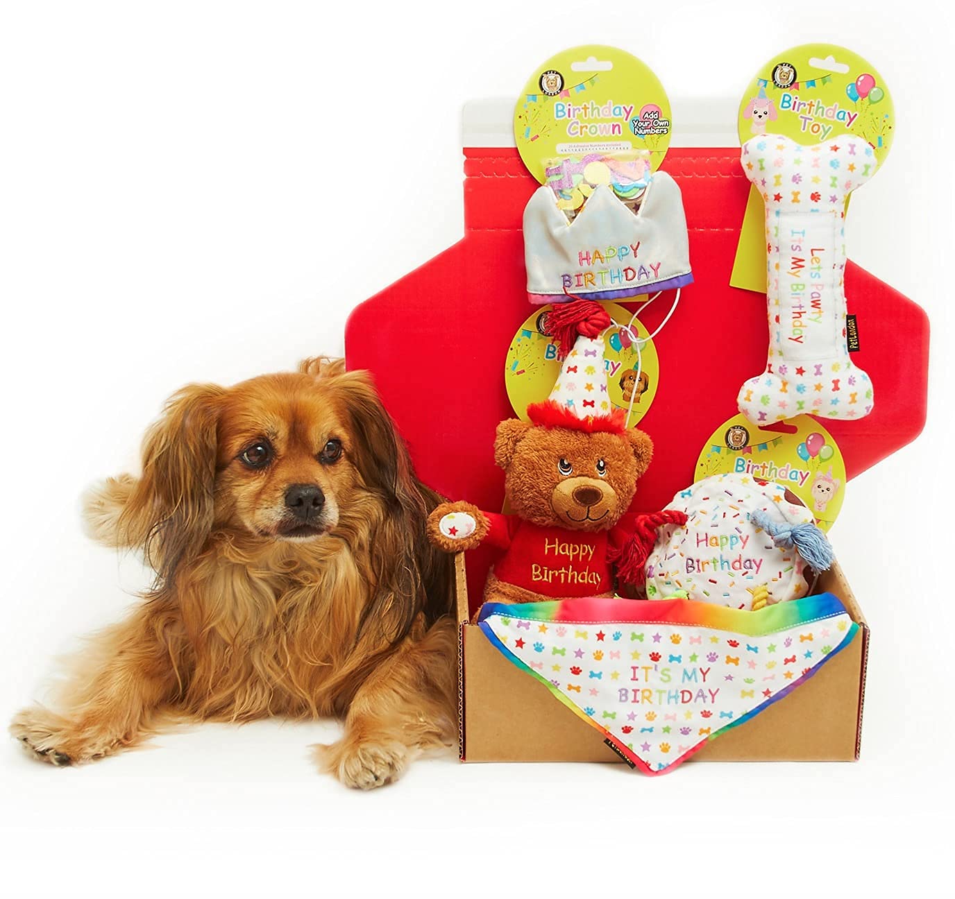 Coffret cadeau d'anniversaire pour chien 6 pièces avec jouets, chapeau et bandana Taille S