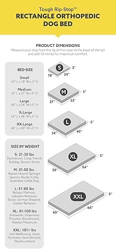 Miniatura 9 de K9 Ballistics TUFF cama para perros de espuma con memoria ortopédica con forro impermeable y tela balística antidesgarros, Negro