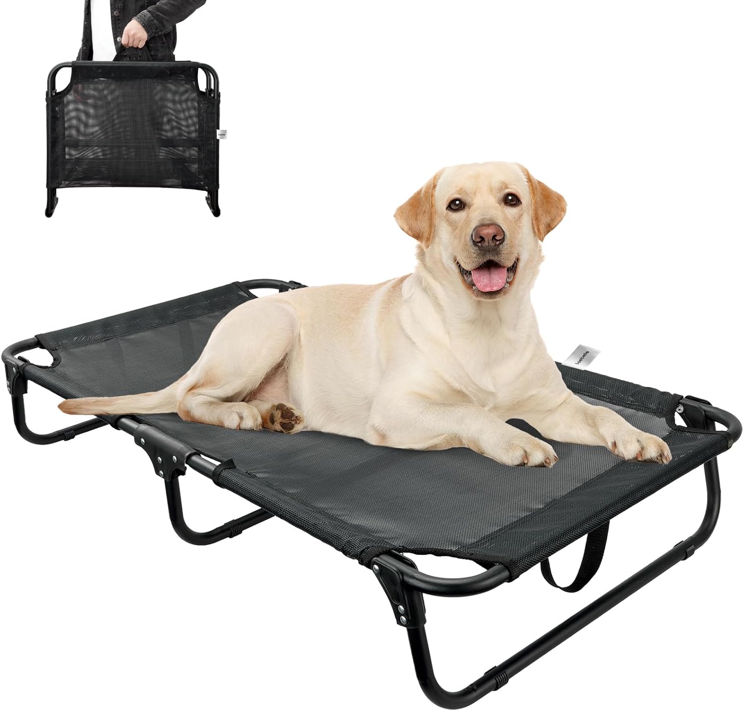 Folding Elevated Dog Bed for Large Pets – Waterproof, No Assembly