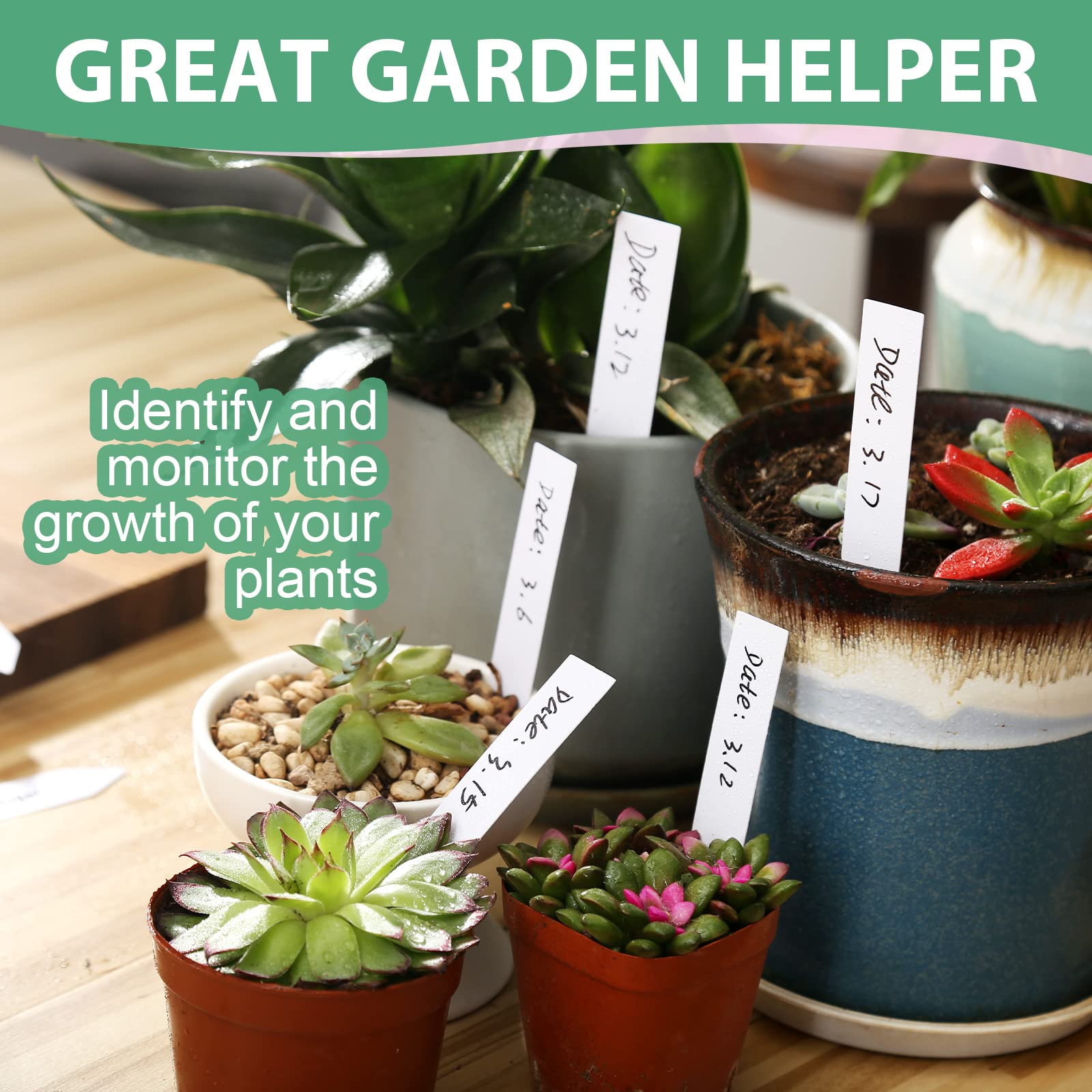 Plastic Garden Labels Economy Plastic Plant Labels, 4-1/2 by 1-Inch, White