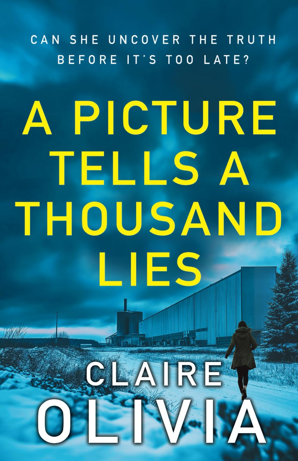 A Picture Tells A Thousand Lies