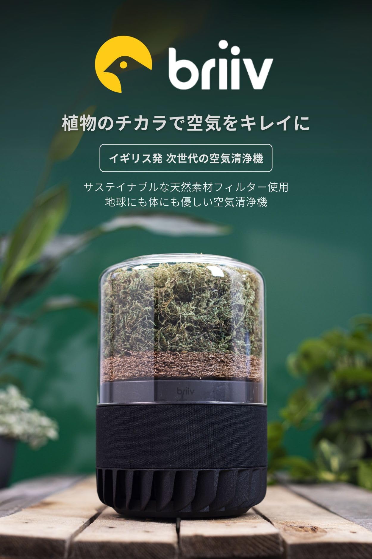 Amazon.co.jp: BRIIV 2 Pro (ブリーヴ) 英国発の自然派エコ空気清浄機 