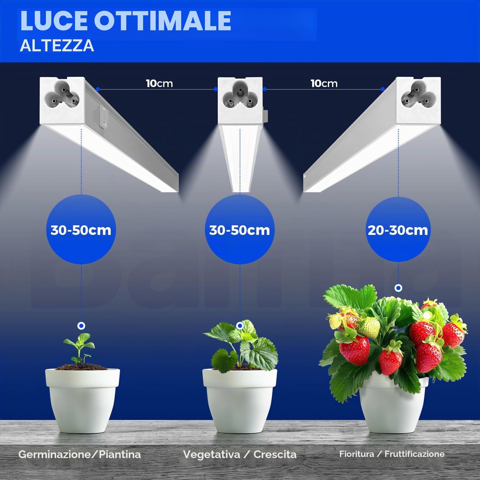 Barrina Lampada T5 per Crescita, 5000K, 29 cm, Luce Solare a Spettro Completo, Lampada per Piante Incatenabile, Barra di Luce LED per la Crescita con Interruttore, Spina e Gioco, Confezione da 4