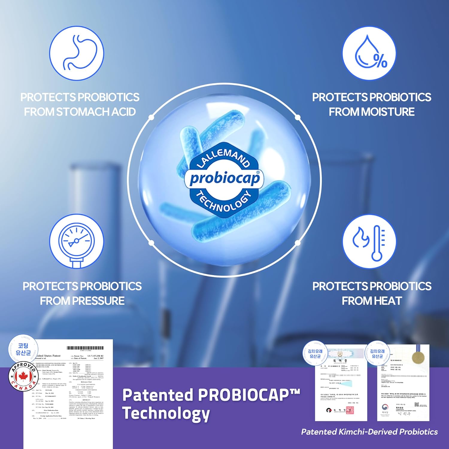 Doctor Developed Premium Impact Probiotics | 13 Probiotic Strains | 1 Billion CFU | for All Ages and Genders | Essential Vitamins | Digestive & Gut Health | Blueberry Yogurt Flavor | 30 Count