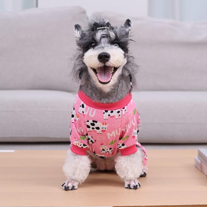 Pijama para perro pequeño CuteBone talla S miniatura 6