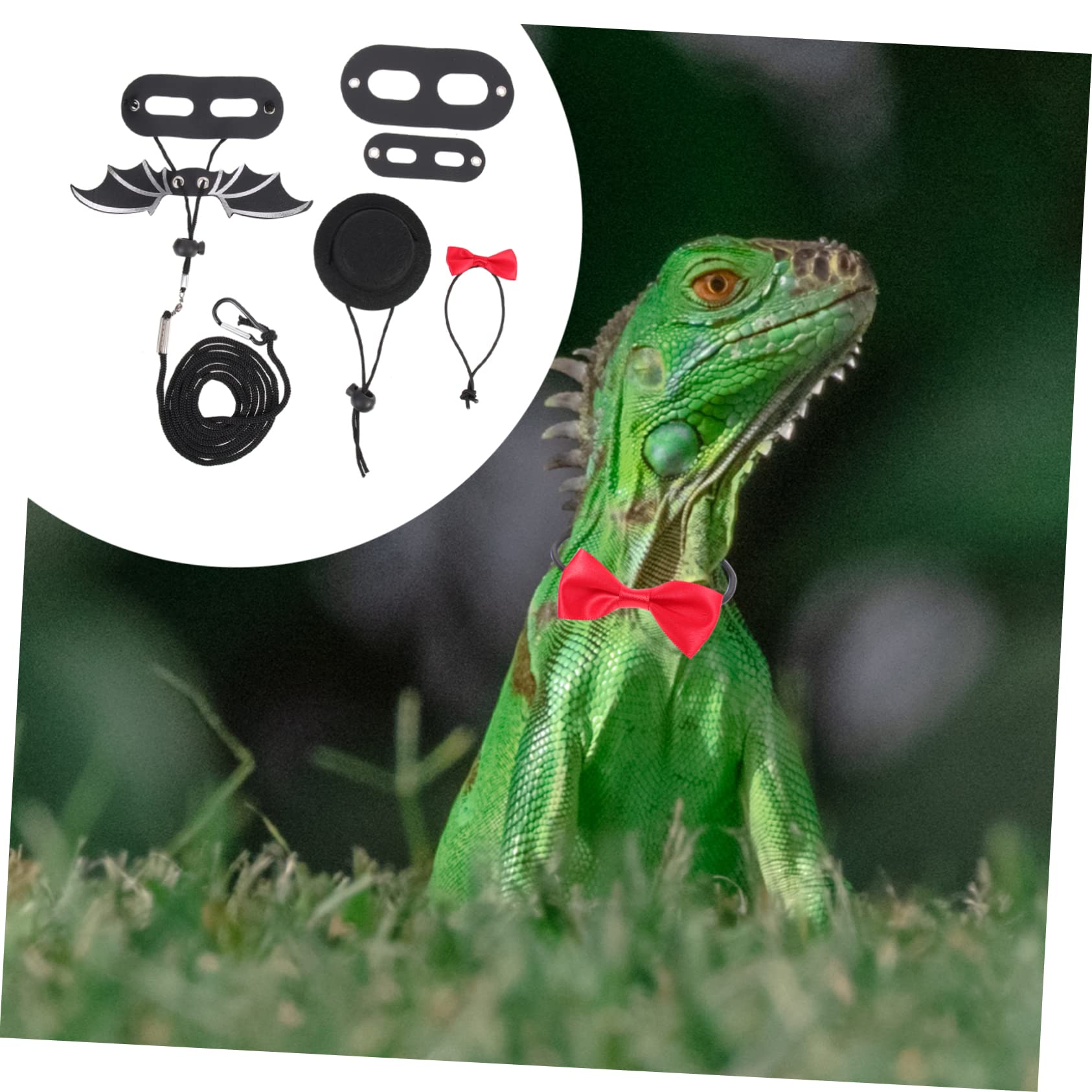 Angoily 4sets e Guinzaglio Per Lucertole Con Cappello Regolabile Per Passeggiate Accessori Per Rettili Per Gechi e Camaleonti Materiale Di Alta Qualità Stile Elegante Per Occasioni