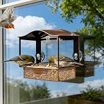 Fenêtre Birds Feeder pour voir les oiseaux sauvages à l'extérieur,Window Metal Birds Feeder avec 2 Coupes d'aspiration & 2 Crochets adhésifs,Fourniture de fenêtre d'oiseau sauvage haut-Fermer, observation d'oiseaux à l'intérieur pour les enfants, les personnes âgées et les animaux