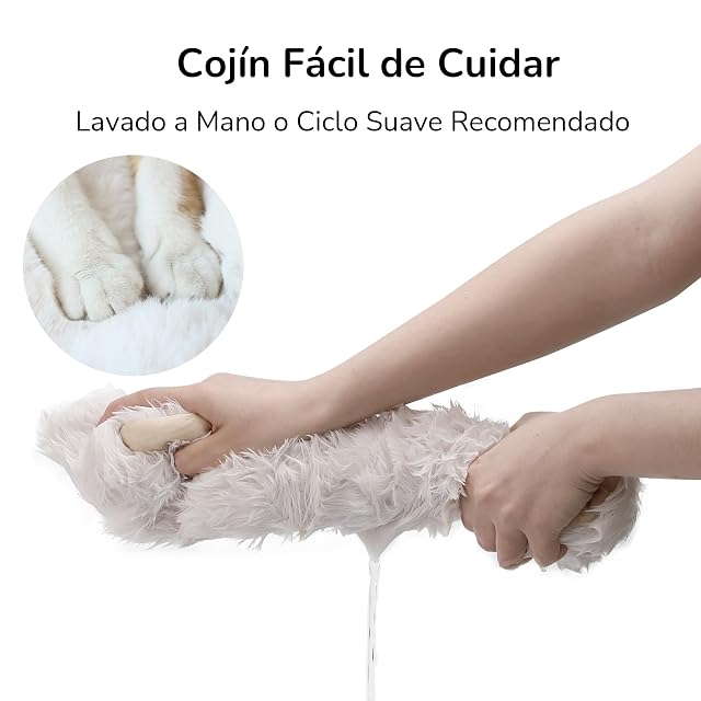 Foto 7 de 8 de FUKUMARU Caseta para Gatos Interior