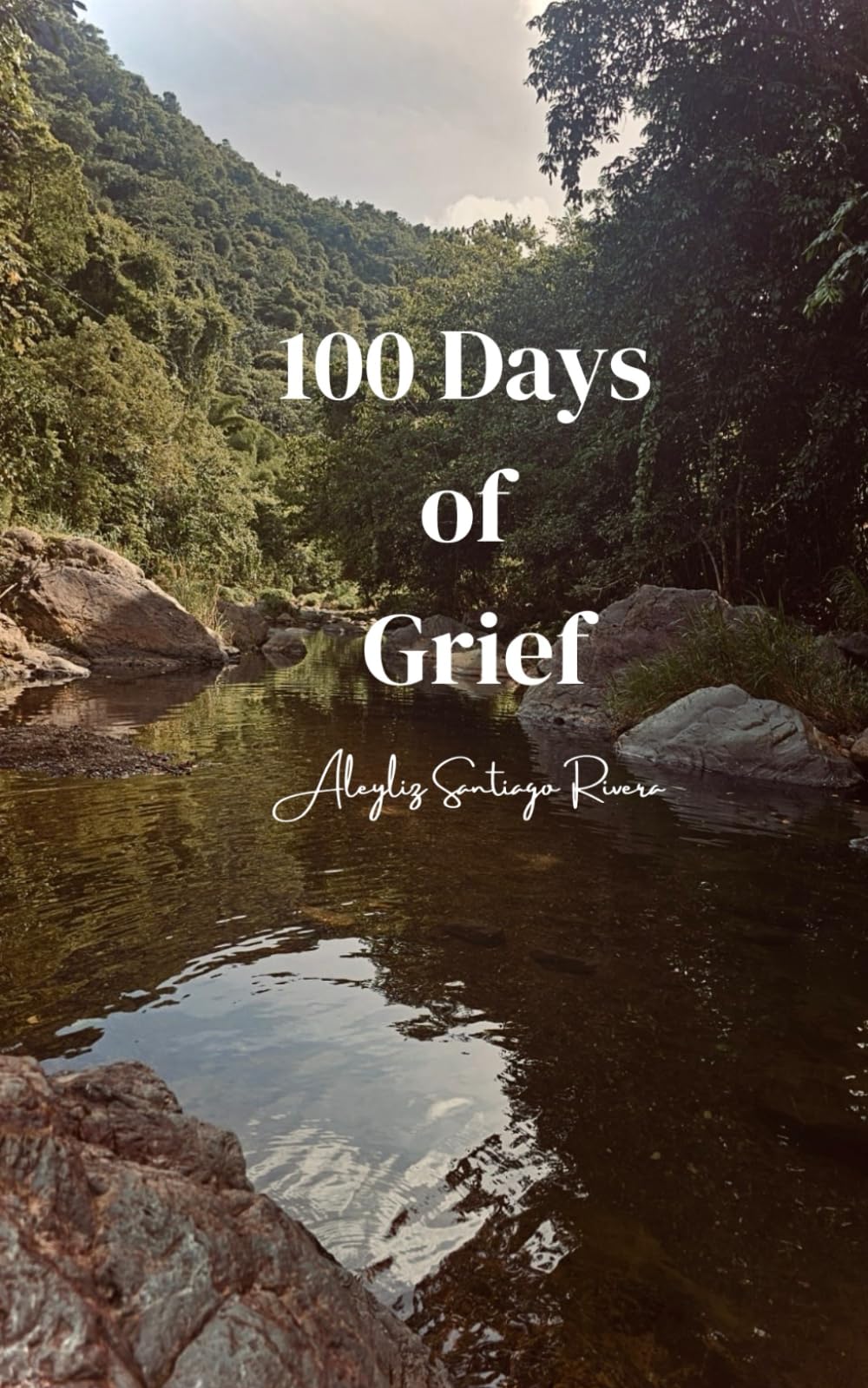 100 Days of Grief