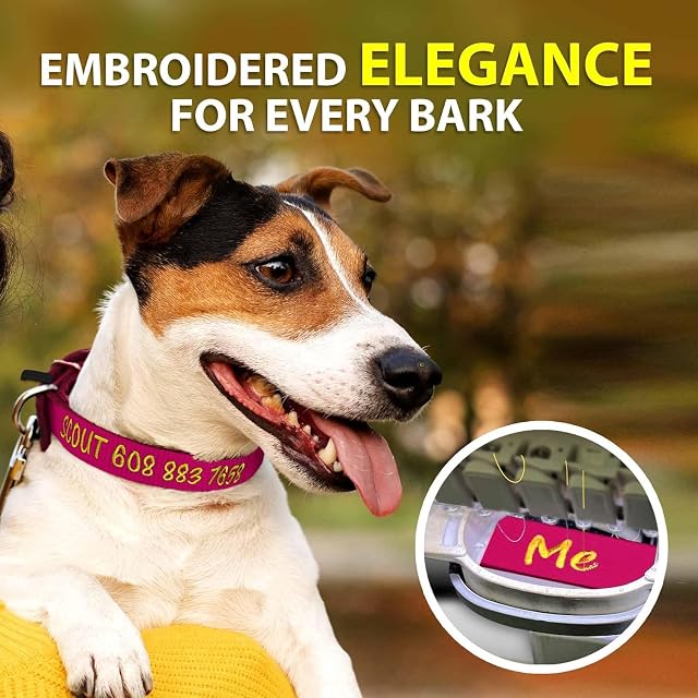 Foto 2 de 7 de Collar de perro con nombre y número de teléfono bordado