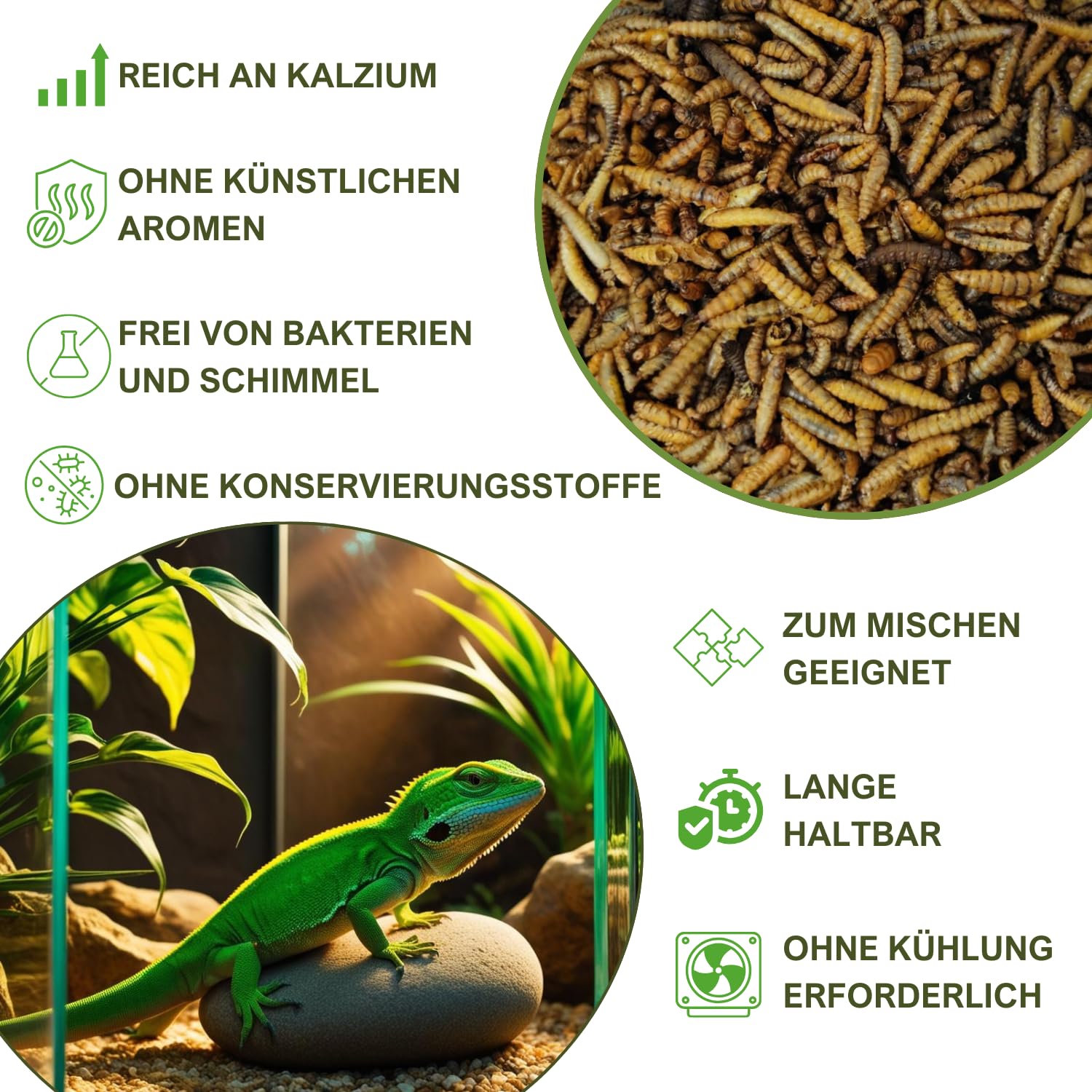 Soldatenfliegenlarven getrocknet (Hermetia illucens), für Vögel, Hühner, Igel, Reptilien, Fische (5 kg)