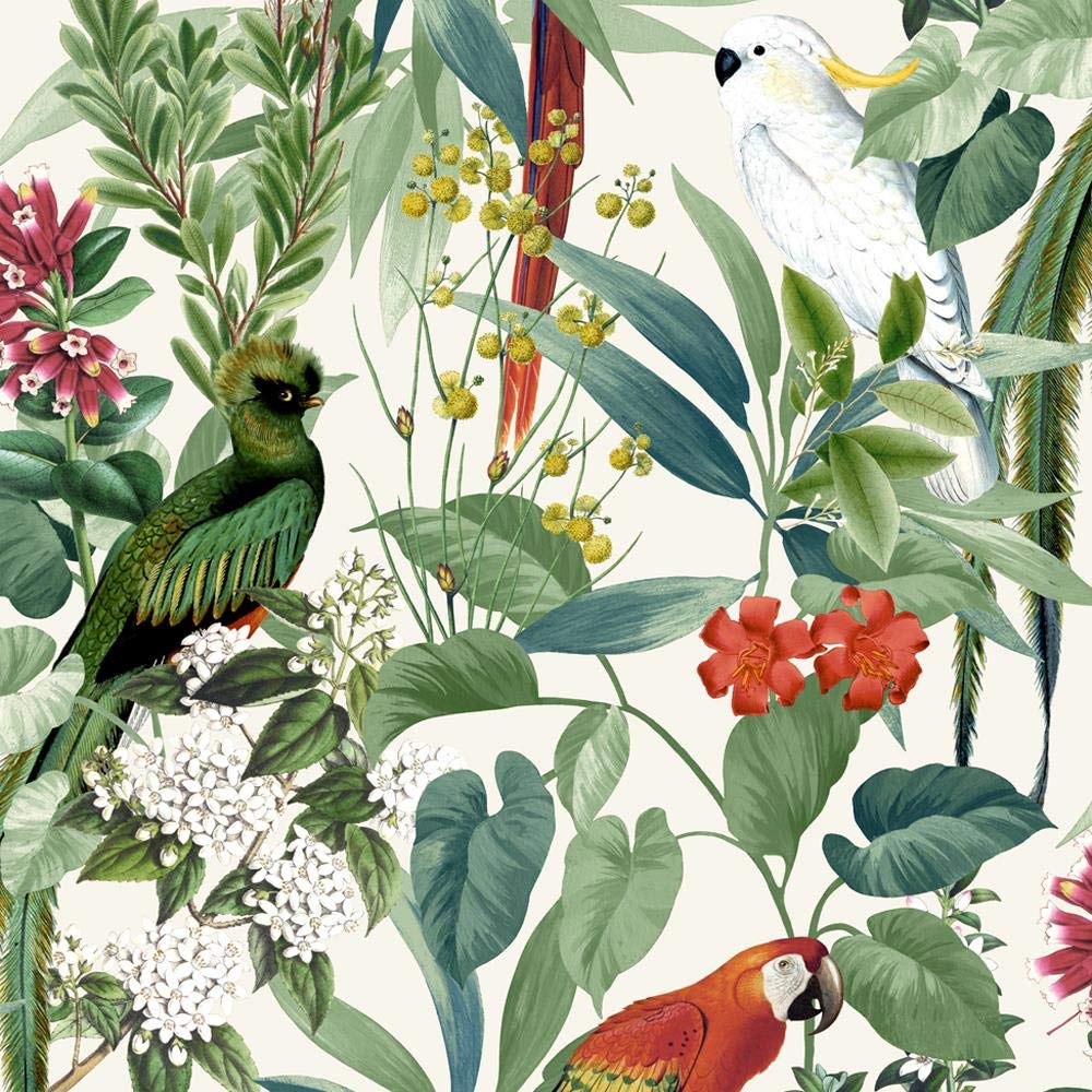 Yöl White,Green Jungle Birds Wallpaper Tropical Parrots Floral Tree Green White Paste Wall Vinyl From