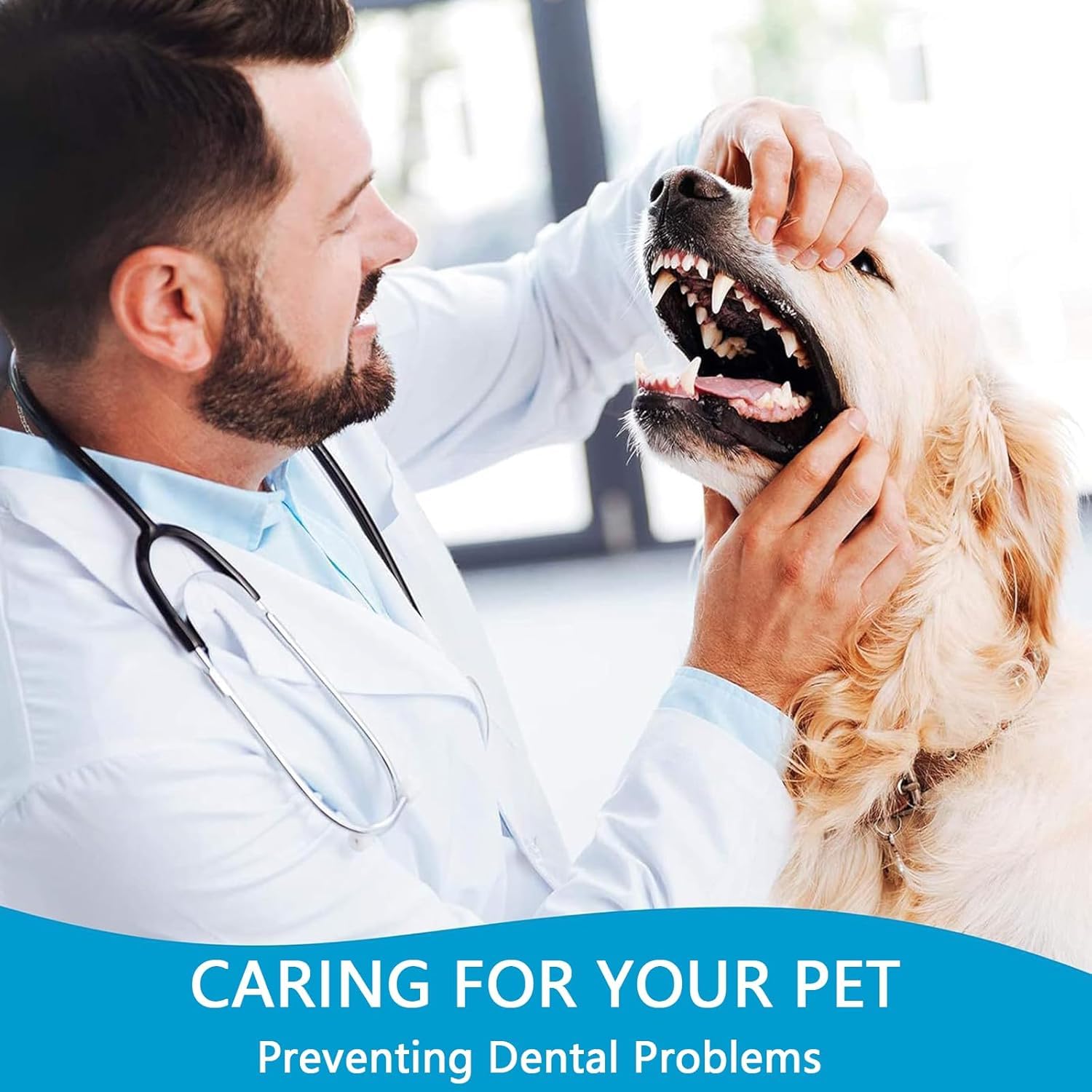 Kyrotech 4’lü Çift Taraflı Kedi ve Köpek Diş Fırçası Seti – Uzun Saplı, Ergonomik, Yumuşak Kıllı, Evcil Hayvan Ağız Bakım Fırçası, Silikon Kaymaz Gövde, Plak Temizliği için Uygun