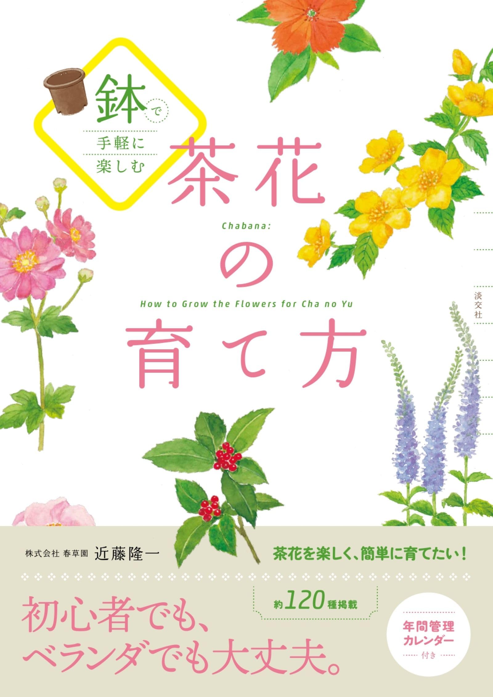 Amazon.co.jp: 鉢で手軽に楽しむ 茶花の育て方 : 近藤 隆一: 本