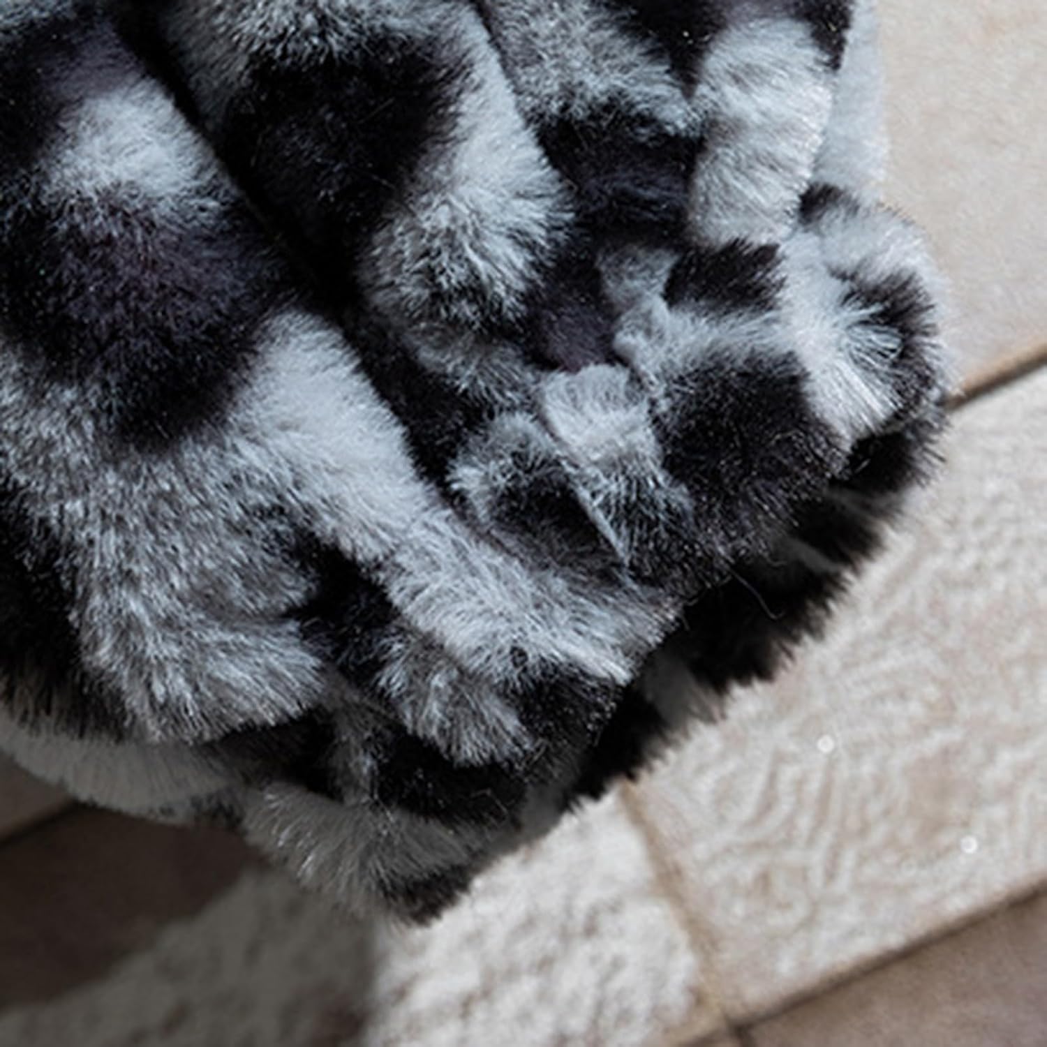 レイノーリモージュ 27cm シキオン プレート No1～6 6枚 RAYNAUD