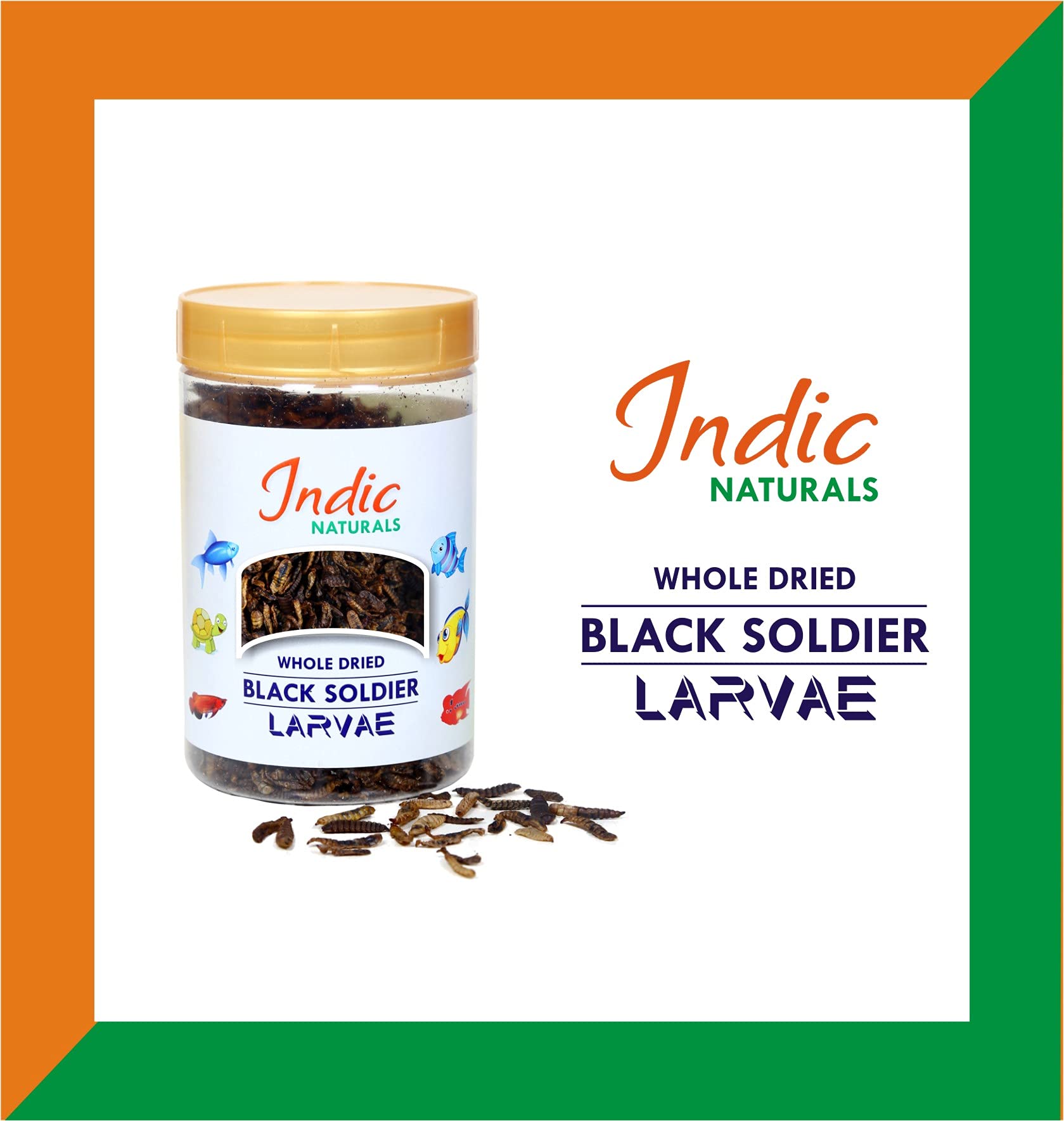 Indic Naturals Whole Dried Black Soldier Fly Larvae - 100 % Natural, High Protein Fish, Bird and Turtle Feed (50 GMS)