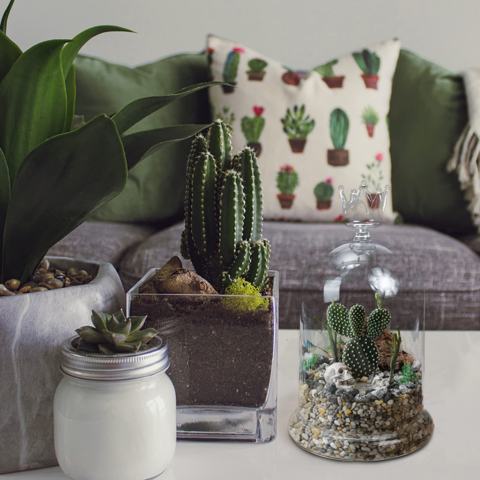 FOMIYES Glass Display Cloche Dome with Base, Bell Jar Terrarium Showcase Display for Antique Collectibles, Dessert Cover for Office Home Decoration 21cm