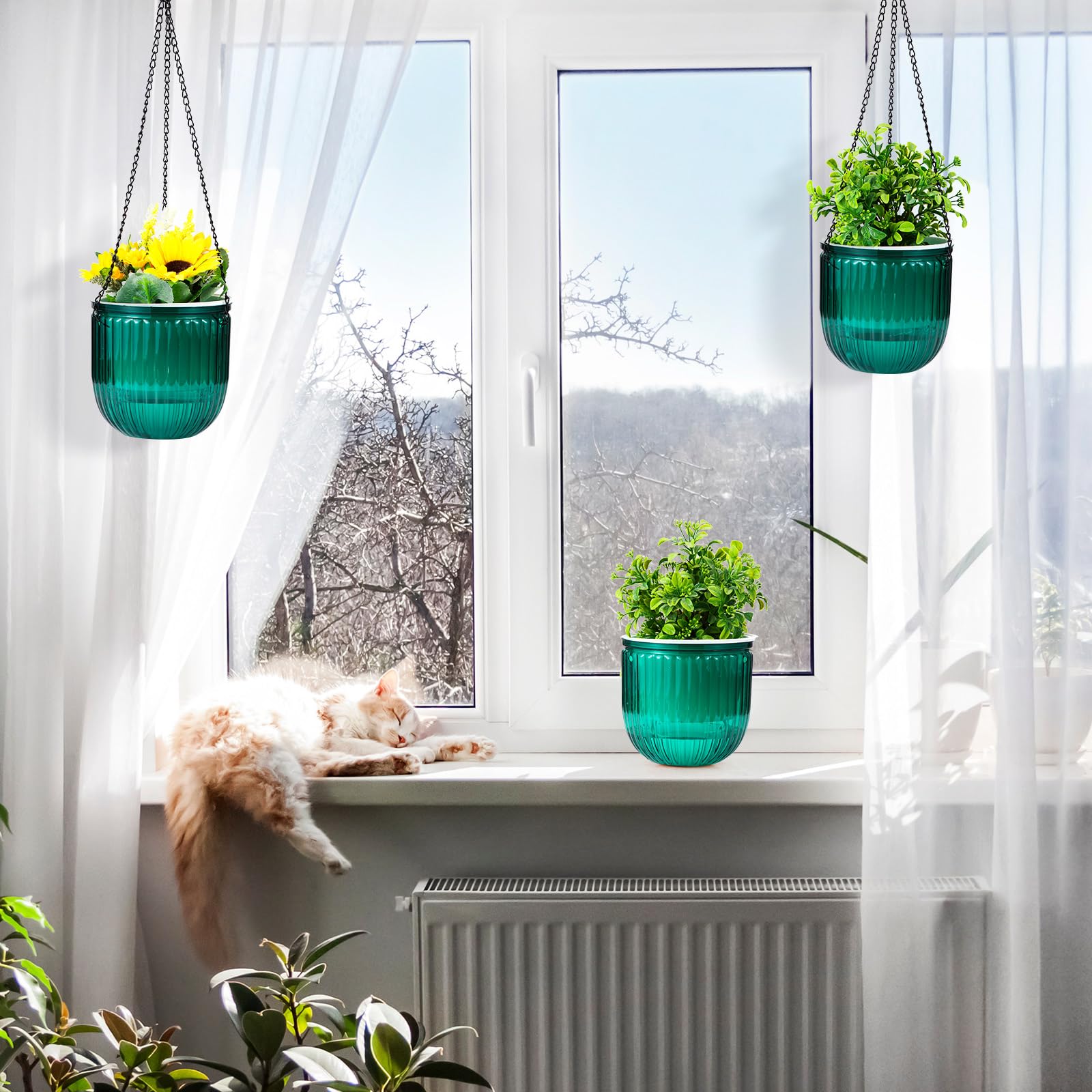 Amazon.co.jp: Yaomiao 10個パック セルフ散水 ハンギング