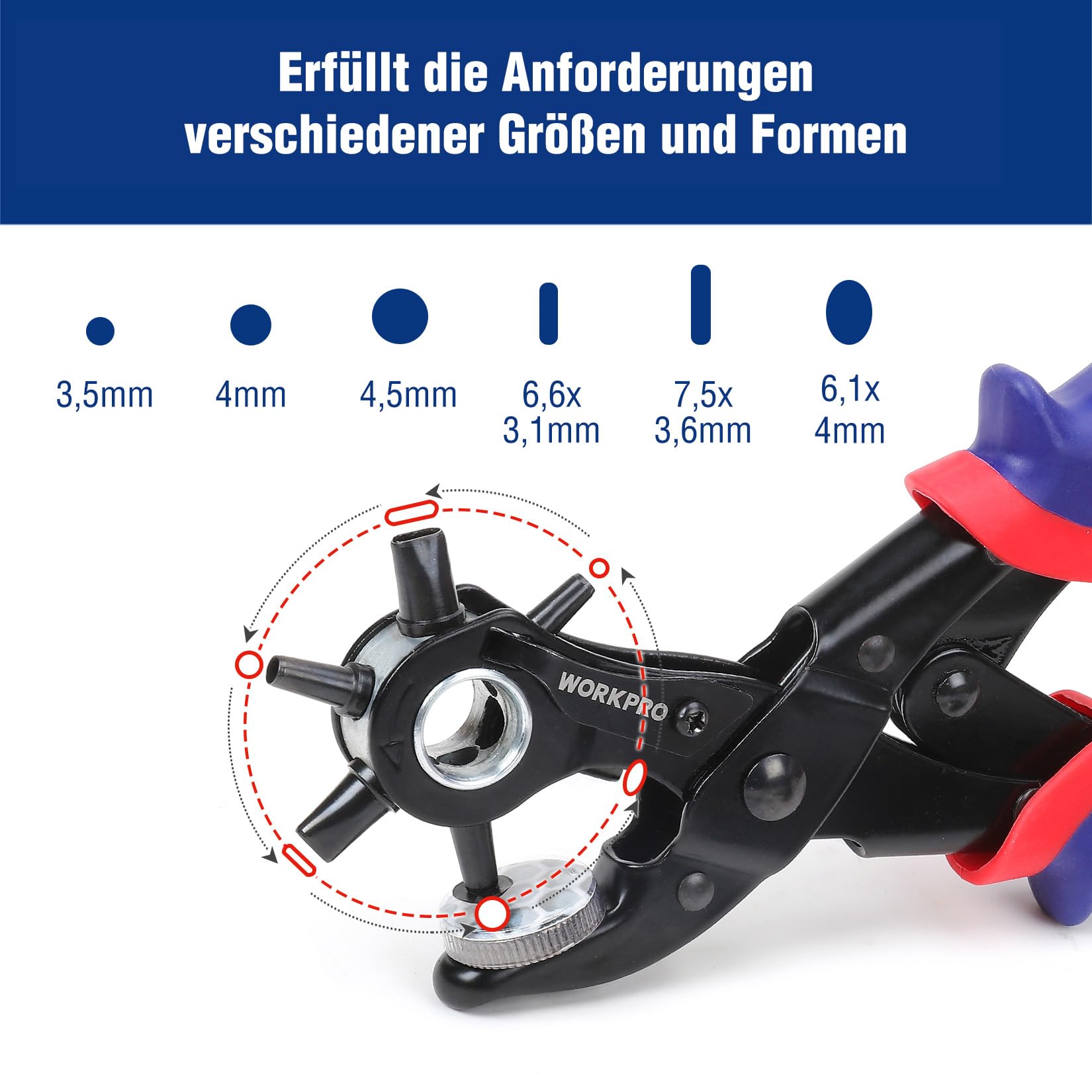 Produktbild von BEEK 3 Zoll Schleifscheiben Pads – 75 Mm, Set Mit 4 Schäften (1/8 & 1/4 Zoll) & 2 Schwammpads – Für Holz, Metall, Lack – 240-tlg. Schleifscheiben-Set, Körnung P80-3000