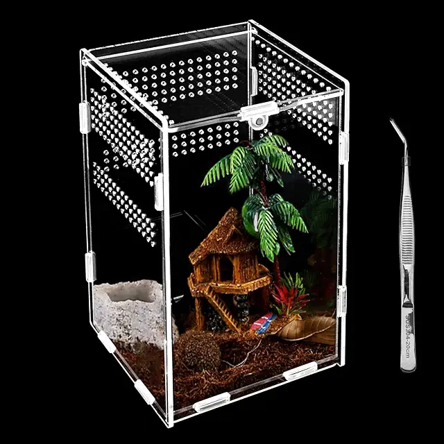 Insect Terrarium: 20x12x12cm Acrylic Pet Grow Box with Anti-Escape Design