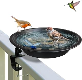 Deck Mounted Bird Bath on Rail