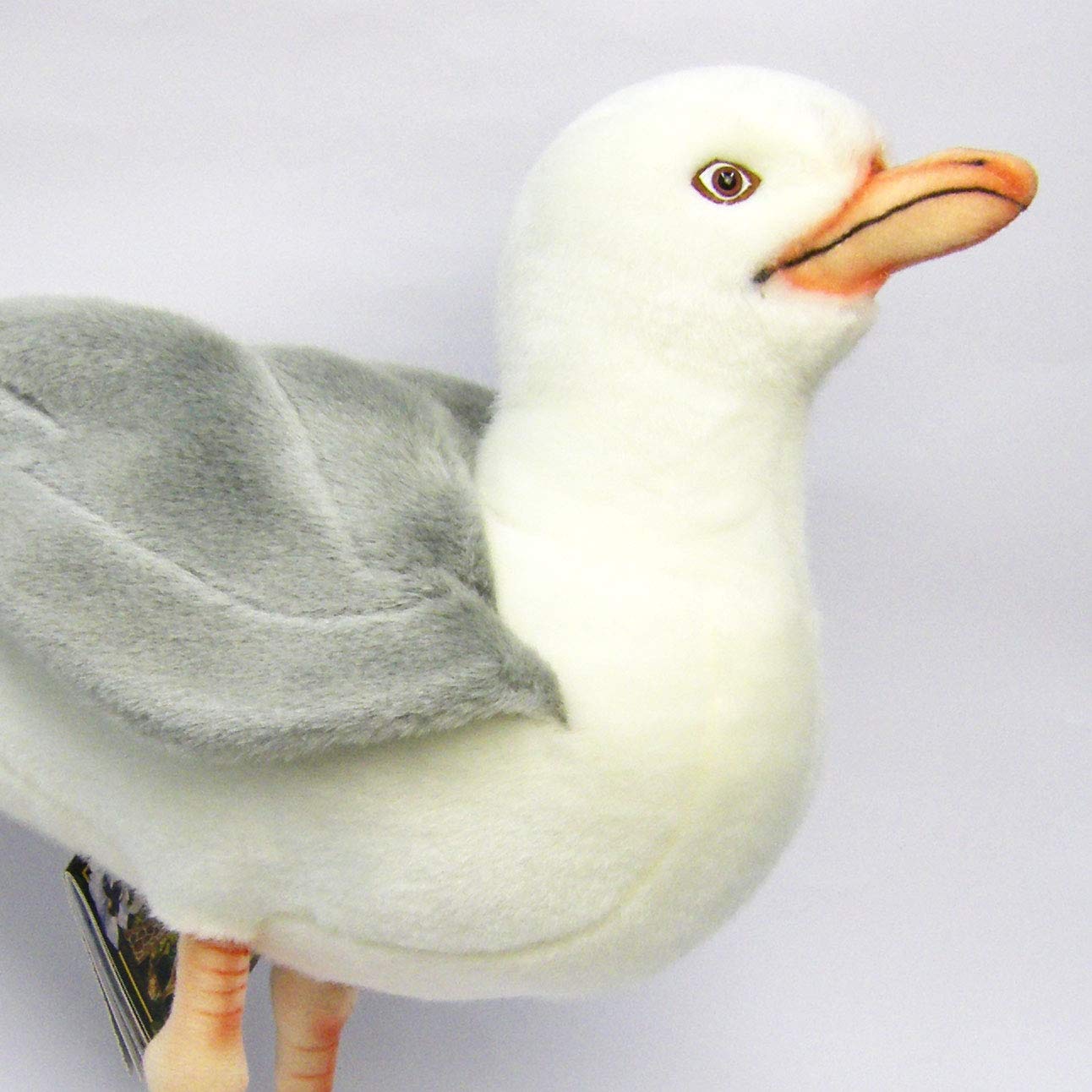 Amazon.co.jp: HANSA ハンサ ぬいぐるみ 7259 カモメ 12 SEAGULL