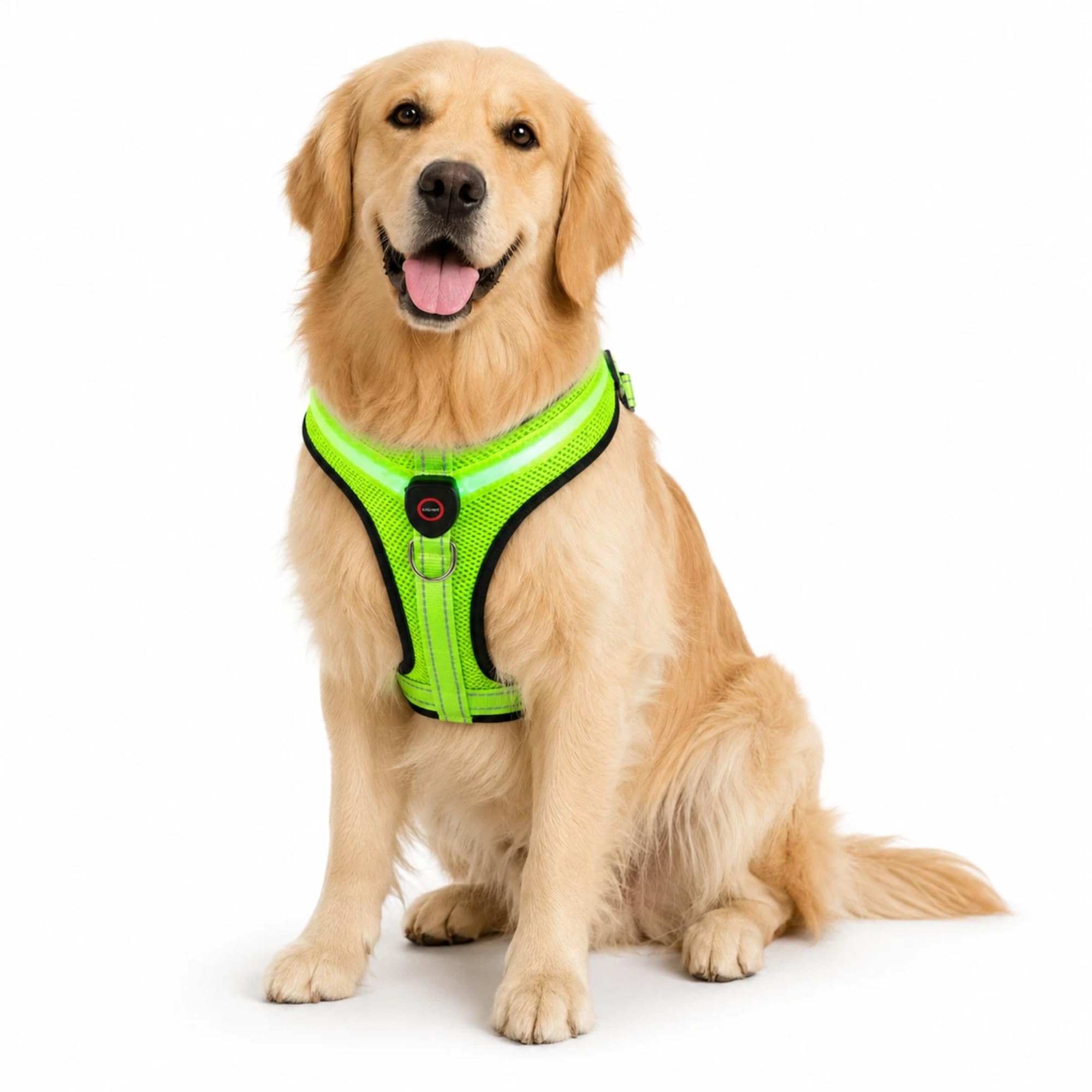 Flashing Dog Harness, Rechargeable LED Light Up Dog Harness with 3 Modes, Reflective Adjustable Mesh Pet Vest with D Ring, Type C Charging Cable, Neon Colour, Night Walking (Large)