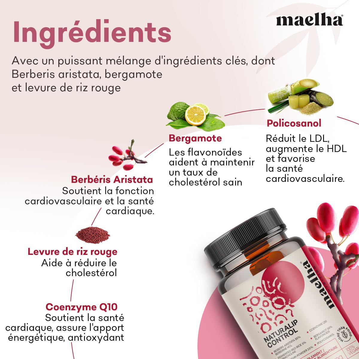 Naturalip Control | Supplément à base de riz rouge fermenté | Aide à maintenir des taux normaux de cholestérol et de triglycérides | Concentration élevée | 60 gélules | 100% végétalien