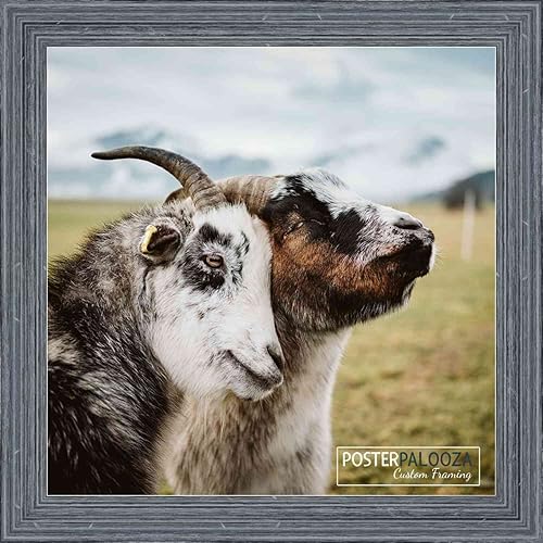 Miniatura 5 de 12x12 Rustic Complete Wood Square Picture Frame with UV Acrylic Plexiglass, Foam Board Backing & Hardware Included