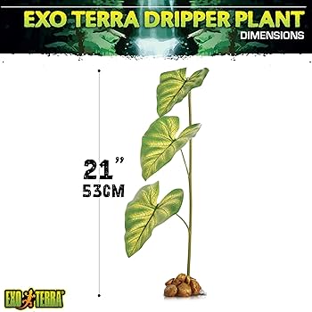 Exo Terra Dripper Plant, Large : Amazon.ca: Pet Supplies