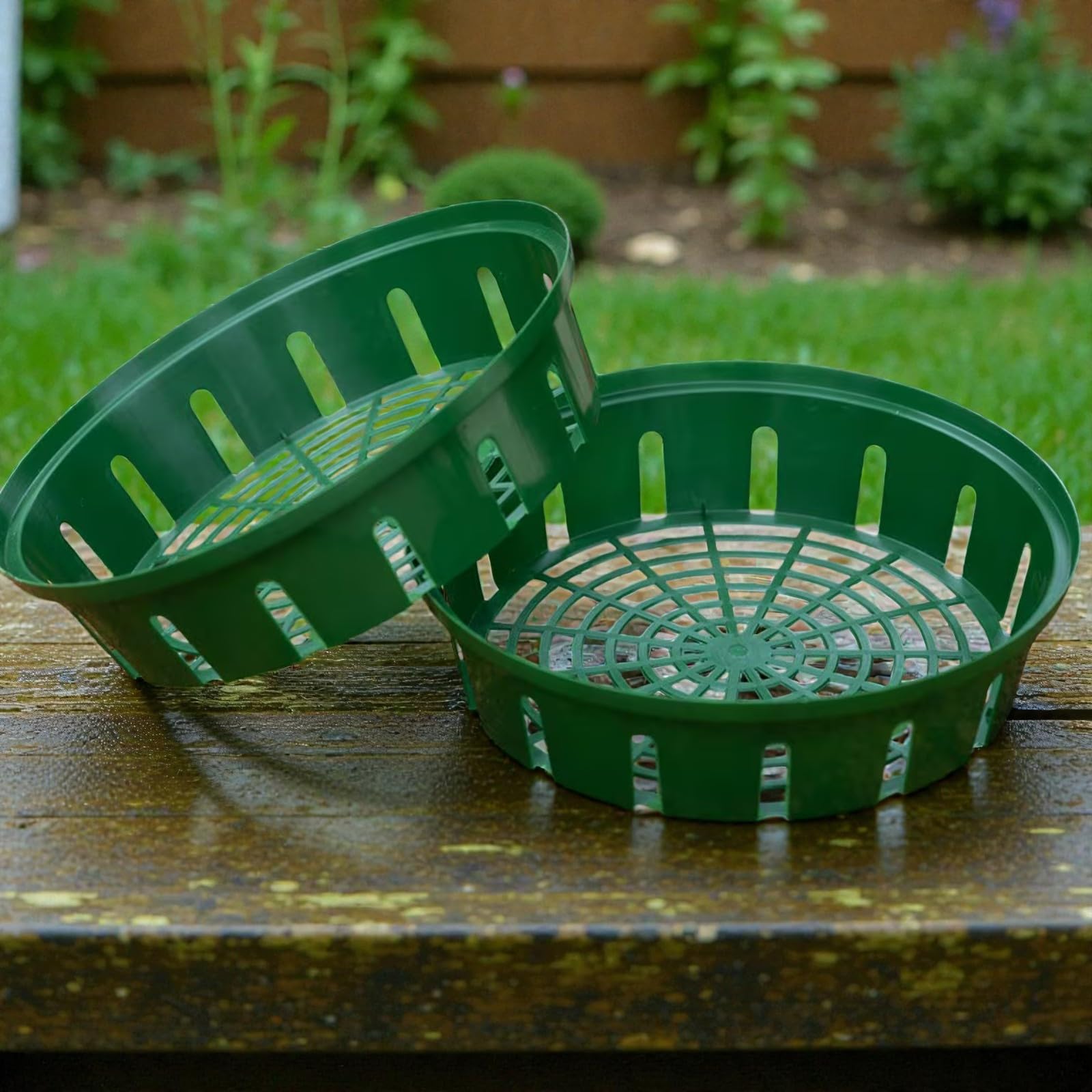 Carbeth Plants Flower Bulb Planting Basket 20 X 30CmRound Durable Reusable Planting & Lifting Easy Grow Planters from B&Q