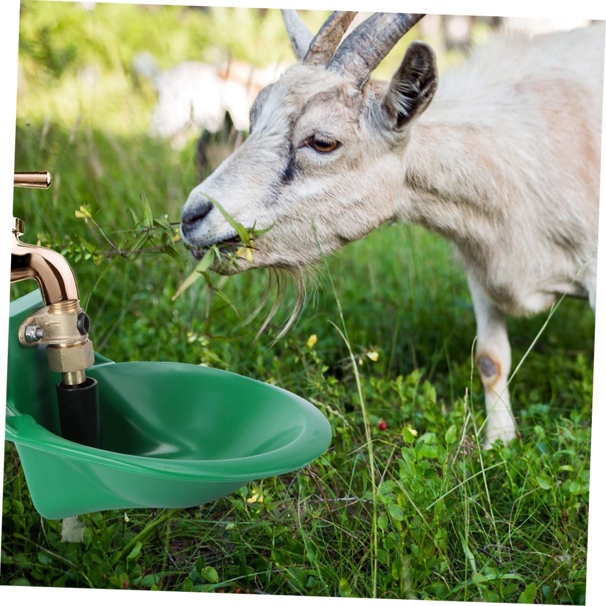 Happyyami 2pcs Copper Valve Sheep Drinking Bowl Automatic Water Fountain for Livestock