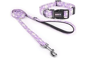 Daisy Dog Collar and Leash: Comfy Walk and Eye-Catching Style