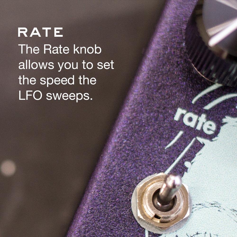 Amazon | WALRUS AUDIO ウォルラスオーディオ JULIA ジュリア