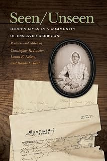 Seen/Unseen: Hidden Lives in a Community of Enslaved Georgians (New Perspectives on the Civil War Era)