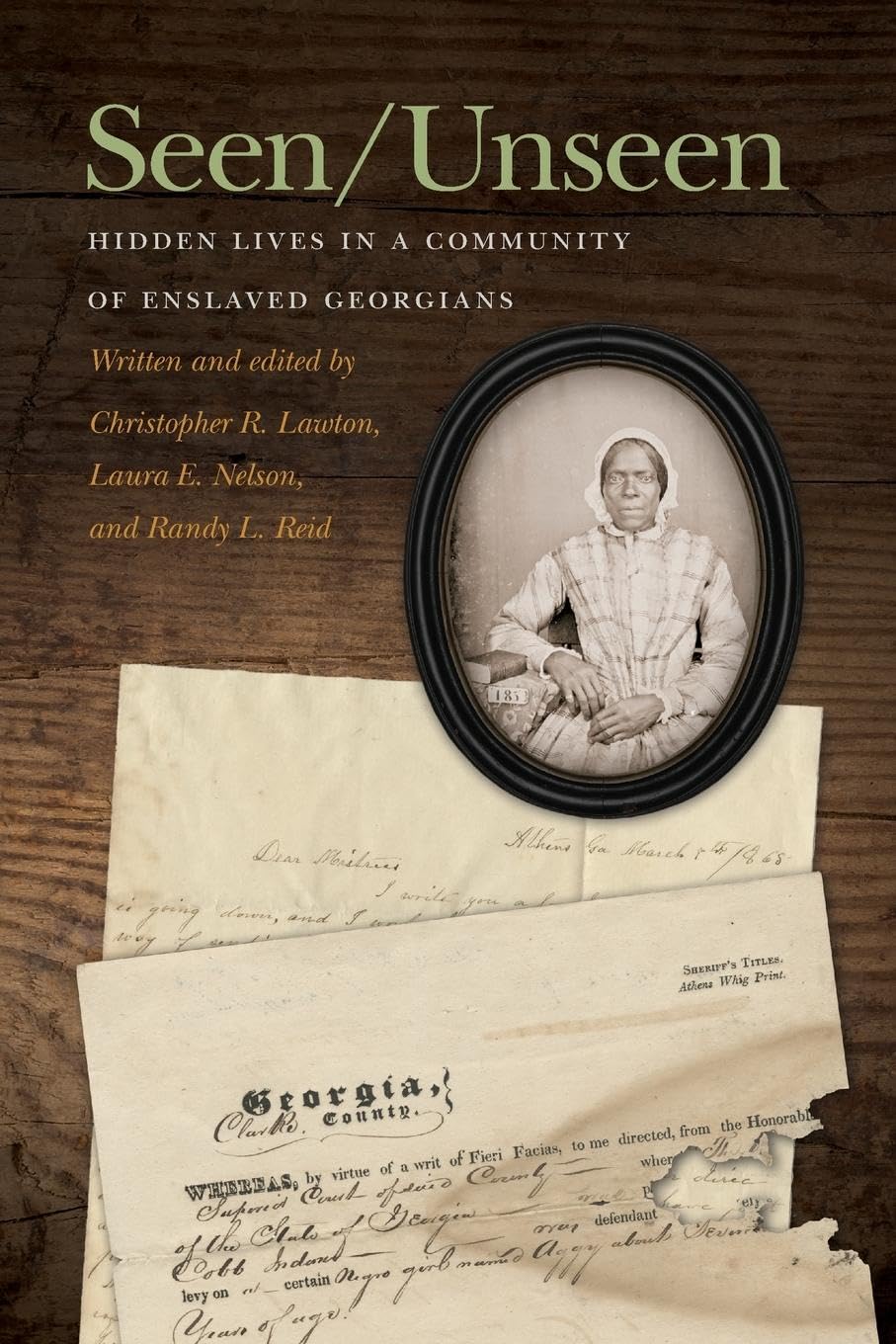 Seen/Unseen: Hidden Lives in a Community of Enslaved Georgians (New Perspectives on the Civil War Era)