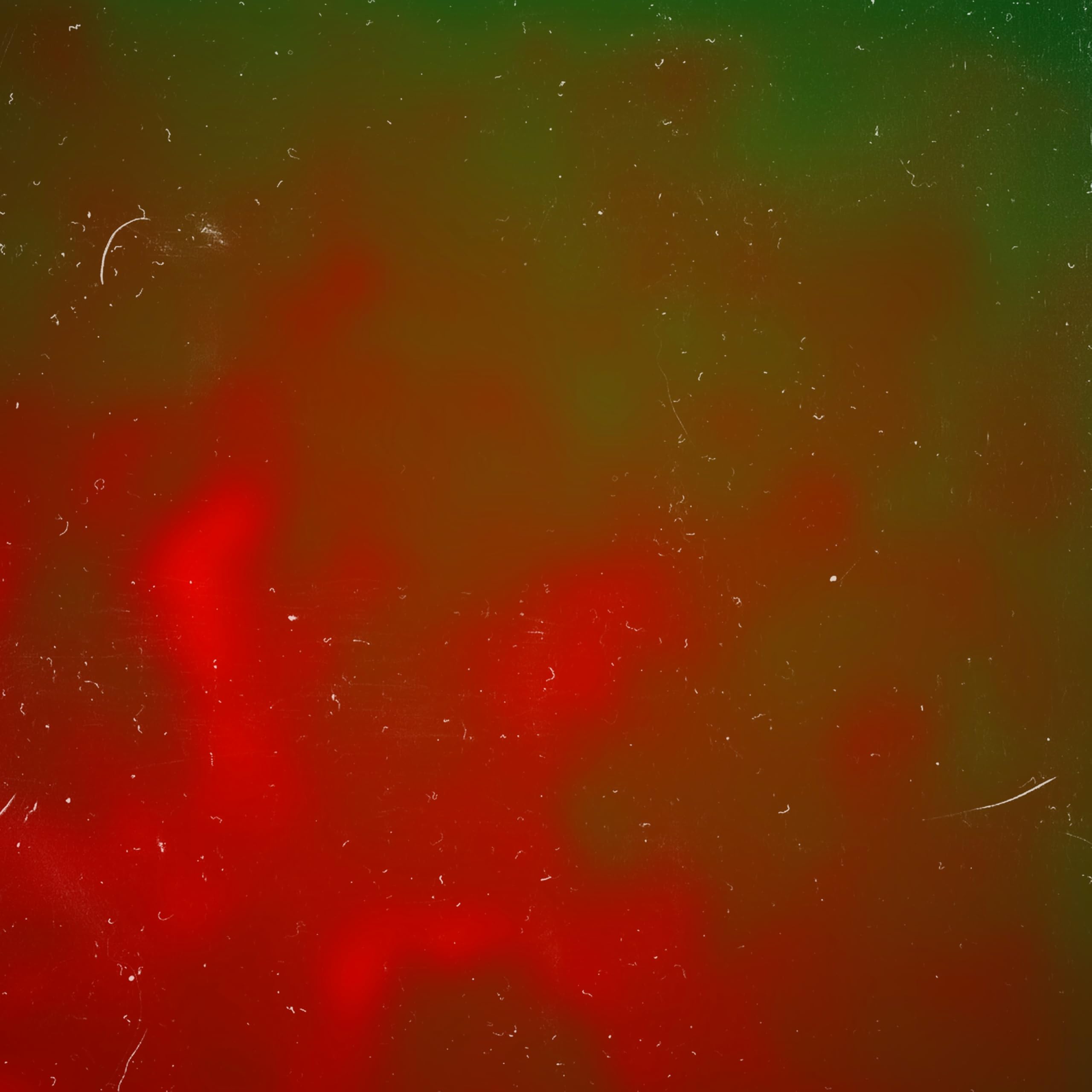 Saint Patrick's Choir