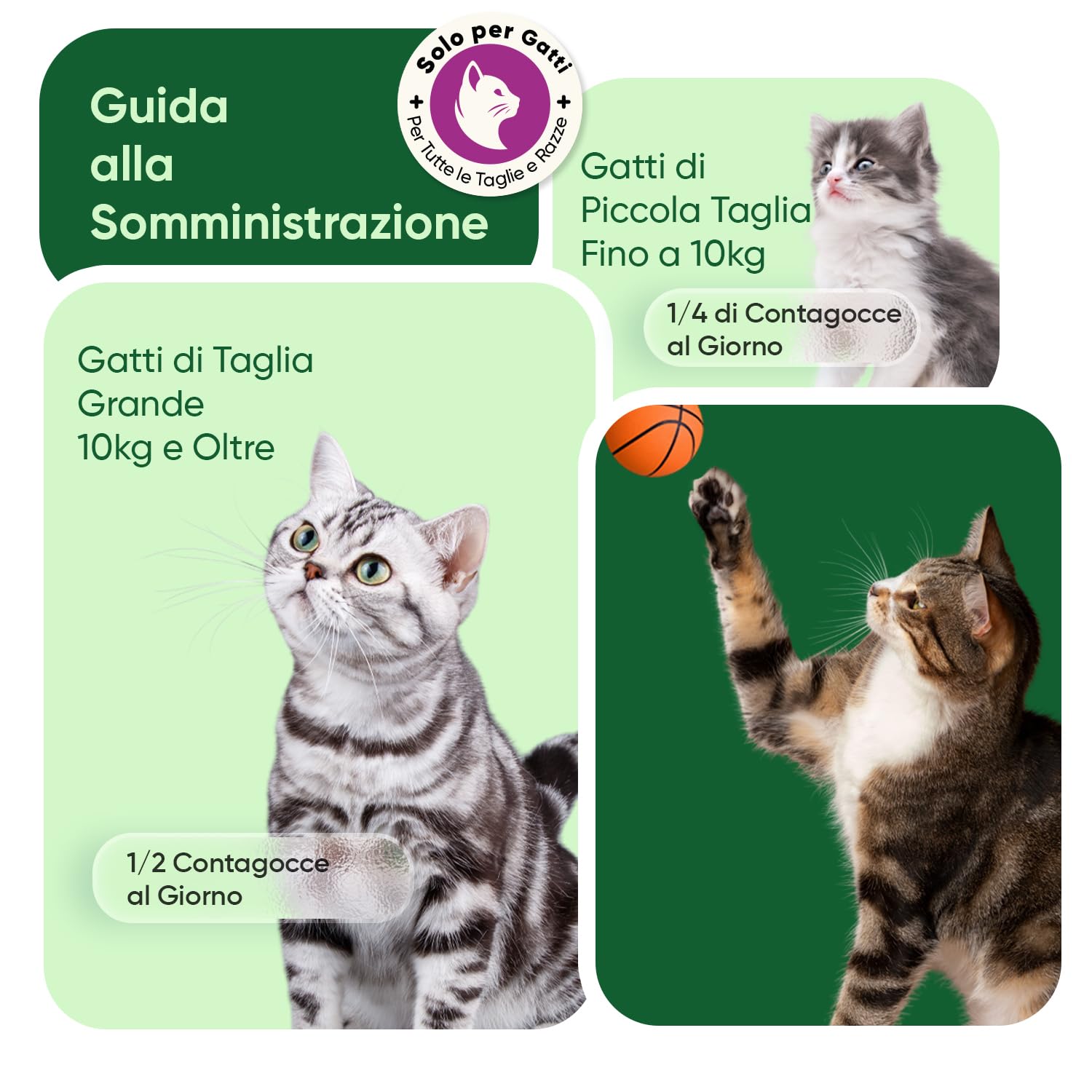 Olio di Semi di Canapa per Gatti, 100% Puro, Pressato a Freddo, Fonte di Omega 3, 6, 9, Gocce da 60ml, Adatto a Tutte le Razze, da 12 Settimane di Età, Completamente Privo di Additivi, Prodotto in UE