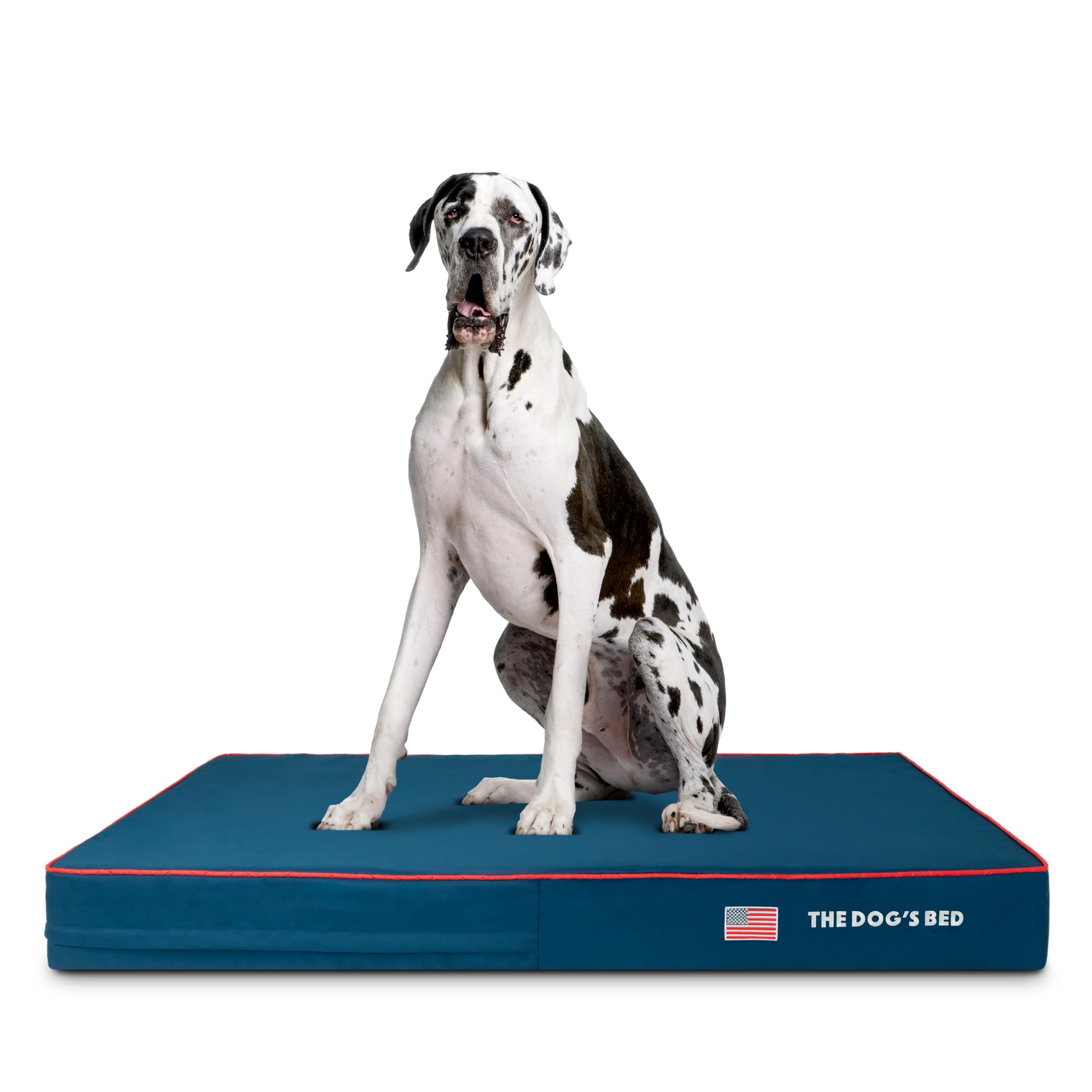 The Dog’s Bed Orthopaedic Memory Foam Dog Bed for XL Dogs, Waterproof Washable Cover, Anti-Slip Base, Calming Surface – CertiPUR-Certified Foam, Grey Plush, 15cm Thick — view 25