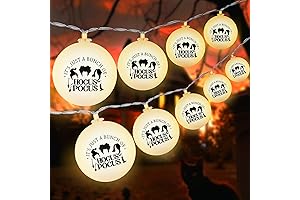 Hocus Pocus Coozie: Eerie Ambiance for Magical Gatherings