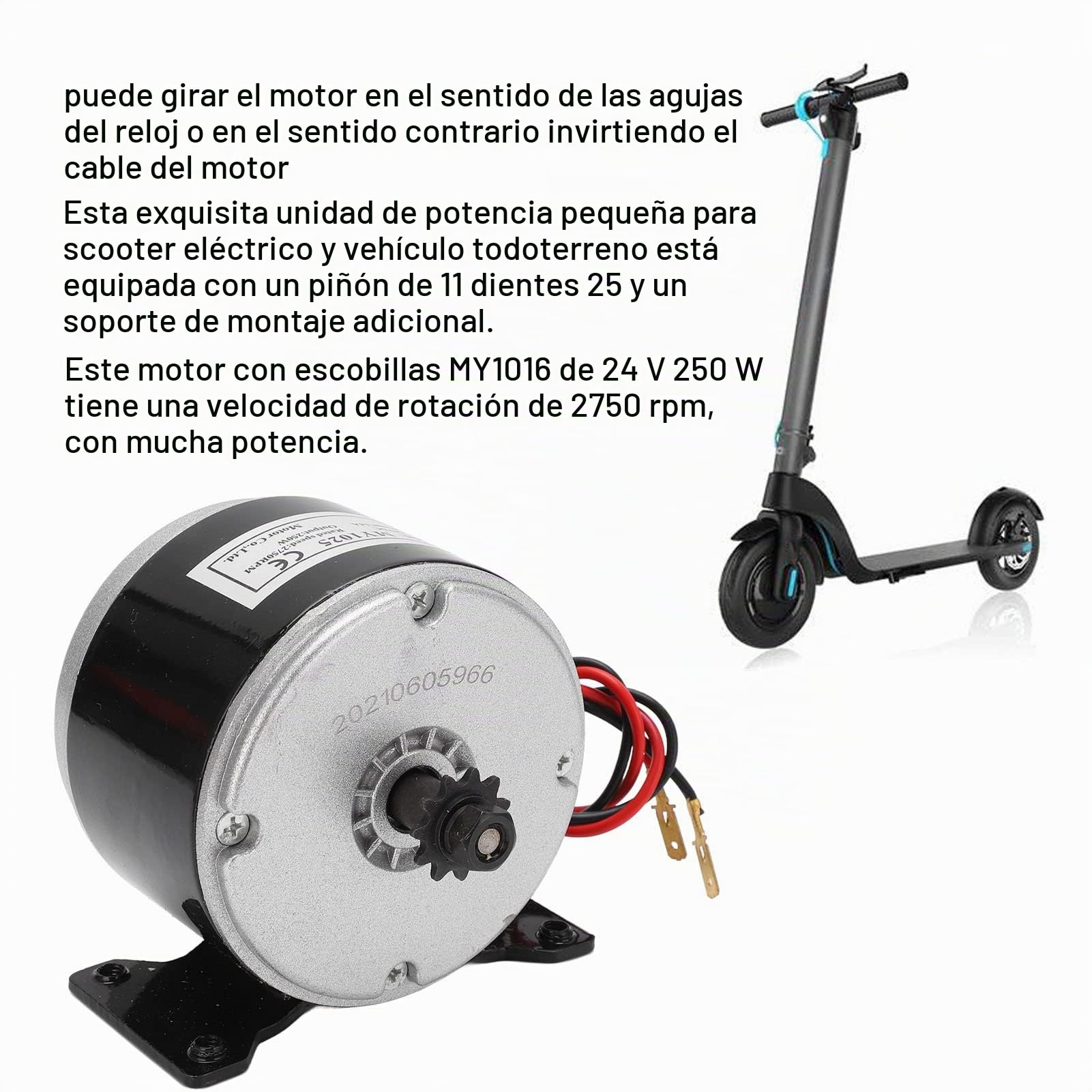 BuyWeek Motor Eléctrico de Reducción de Engranajes Reductor de Motores YH1016 24V 250W 2750RPM 14A Cepillado para Scooter Eléctrico