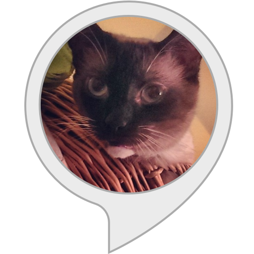 Where's Whiskers? Alexa Skills
