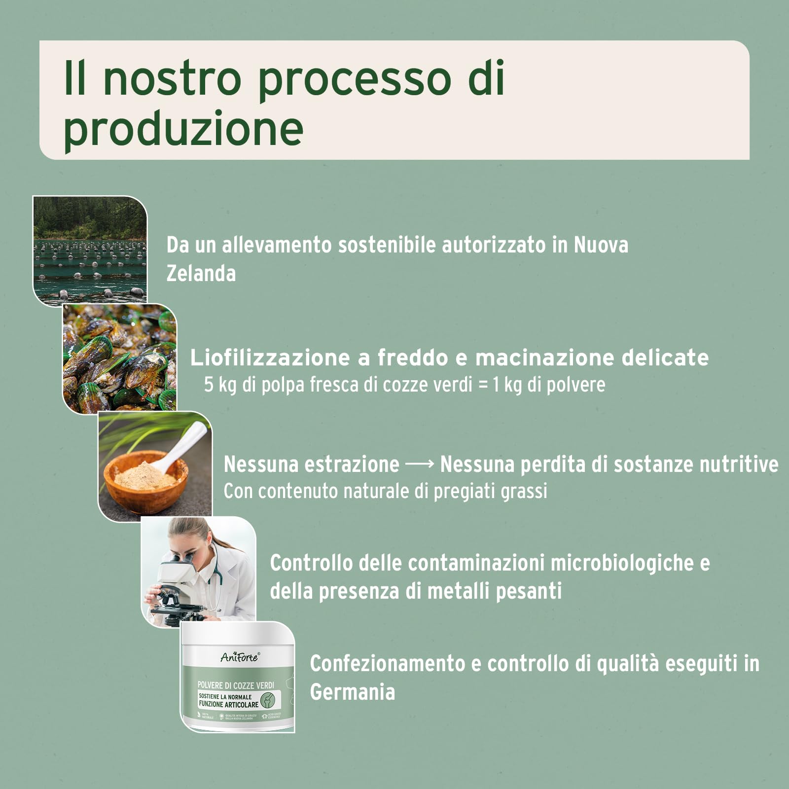 AniForte Polvere di cozze dalle Labbra Verdi per Cani e Gatti 250g – Integratori naturali in qualità di Grasso Completo, glicosaminoglicani, supporta le funzioni articolari