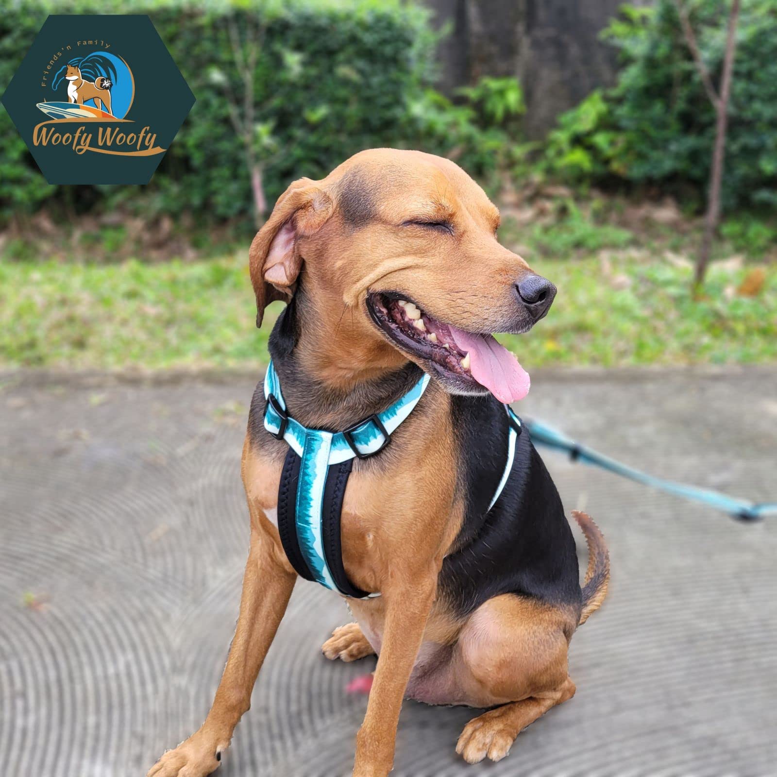 Arnés casual H para perro, arnés ajustable para perro, sin tirones, para uso diario y entrenamiento con acolchado suave (L)
