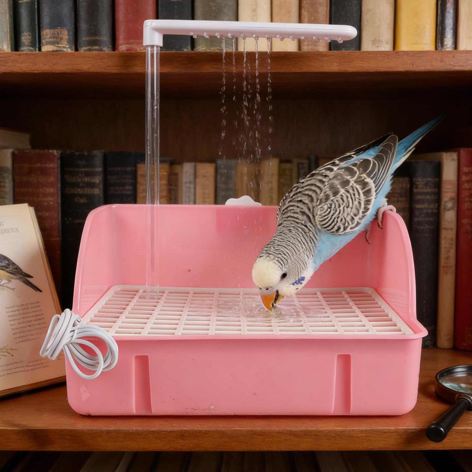 TOYANDONA Bagno per Pappagalli e Uccelli Piccoli in Pp, con Funzione di Circolazione e Filtrazione Integrata, Accessorio per Gabbia per Uso Domestico Rosa