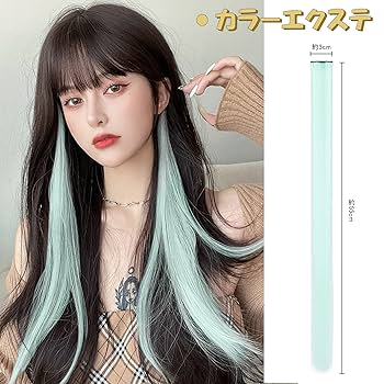 ウィッグ・エクステ hydreigon エクステンション ウィッグ プリシラTX-25 めちゃ楽カラー