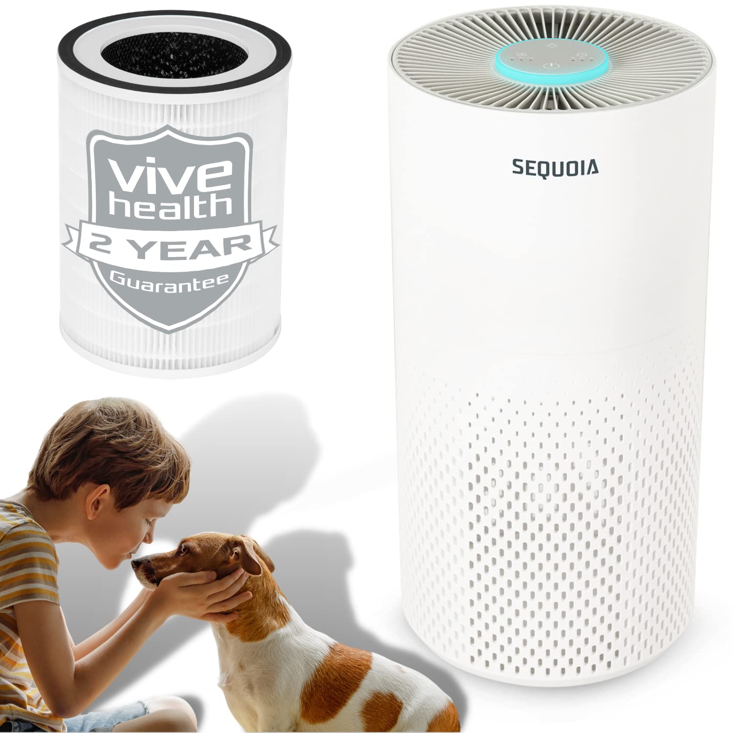 Do Air Purifiers Help Dog Allergies